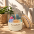 Cactus Calm